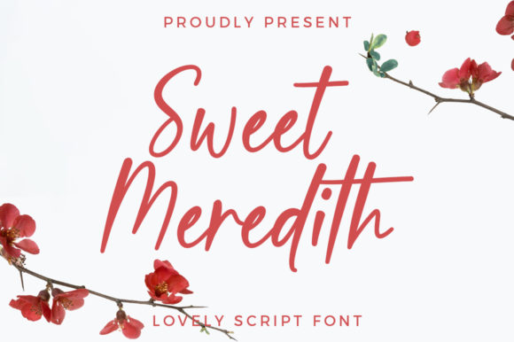 Sweet Meredith: A Modern Calligraphy Font for Thoughtful Design Choices